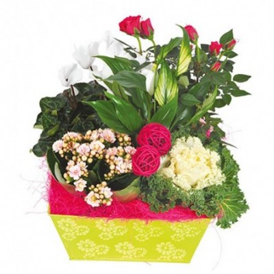Geminium bouquet de fleurs pour un enterrement