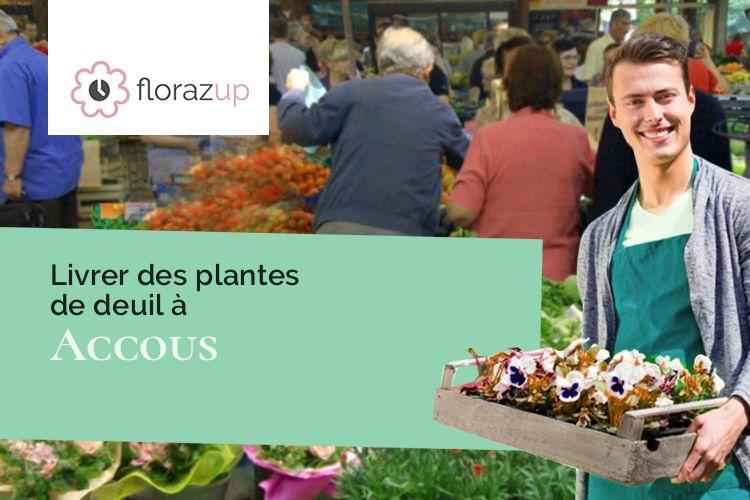 plantes pour des obsèques à Accous (Pyrénées-Atlantiques/64490)