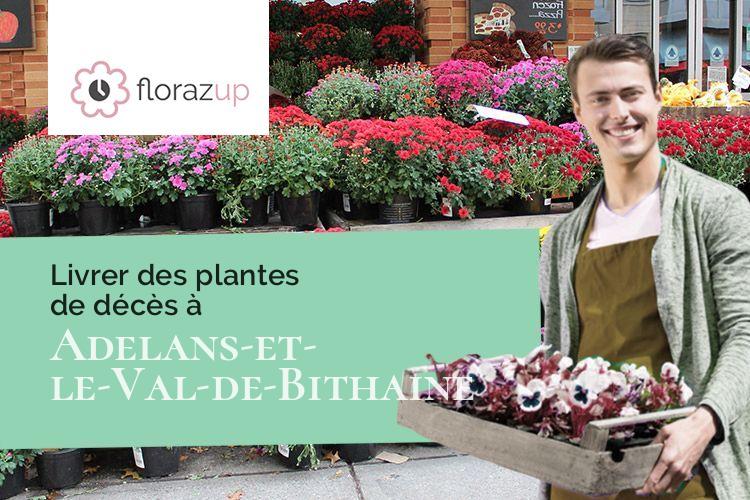 coeurs de fleurs pour des obsèques à Adelans-et-le-Val-de-Bithaine (Haute-Saône/70200)