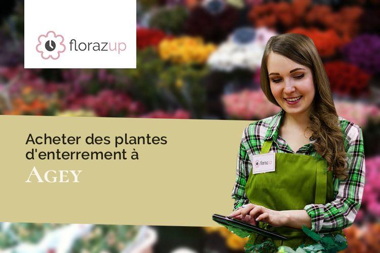 compositions florales pour des funérailles à Agey (Côte-d'Or/21410)