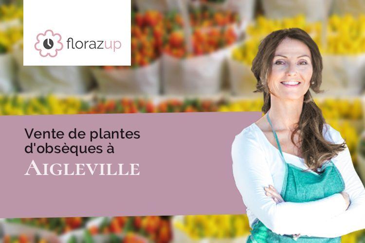 bouquets de fleurs pour un décès à Aigleville (Eure/27120)