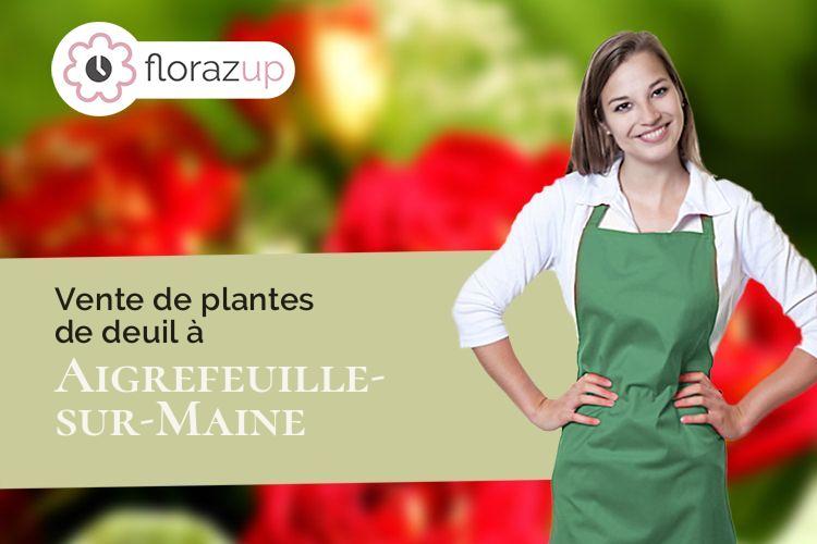 coeur de fleurs pour des obsèques à Aigrefeuille-sur-Maine (Loire-Atlantique/44140)