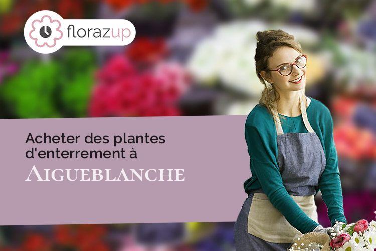 coupes de fleurs pour des obsèques à Aigueblanche (Savoie/73260)