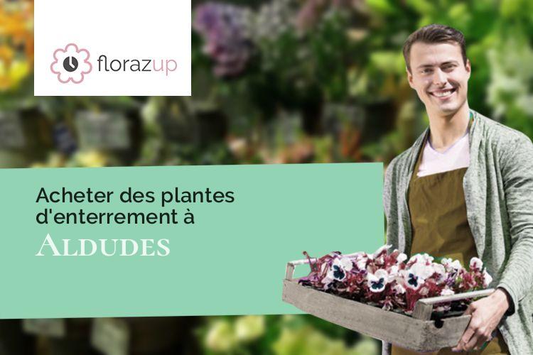 plantes pour des obsèques à Aldudes (Pyrénées-Atlantiques/64430)