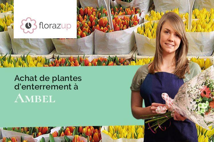 compositions florales pour des funérailles à Ambel (Isère/38970)
