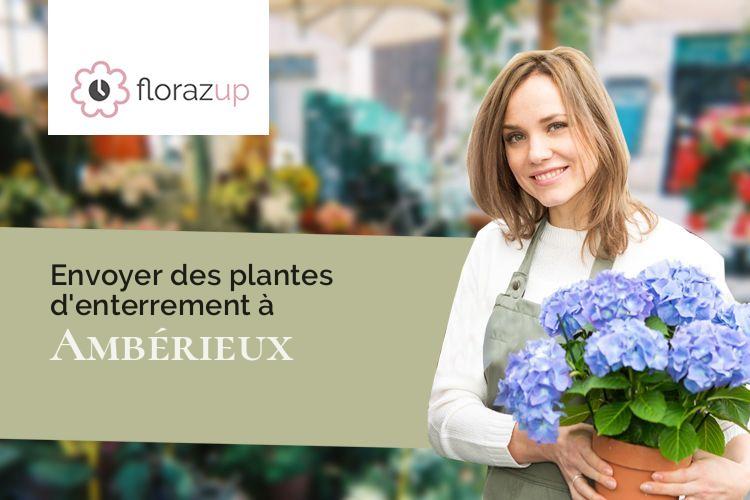 fleurs deuil pour des obsèques à Ambérieux (Rhône/69480)