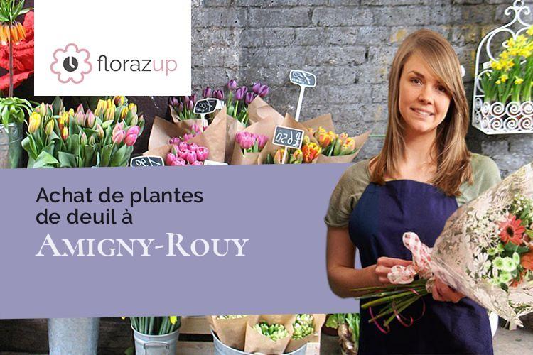 couronnes de fleurs pour un décès à Amigny-Rouy (Aisne/02700)