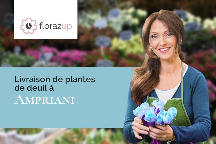 compositions florales pour un enterrement à Ampriani (Corse/20272)