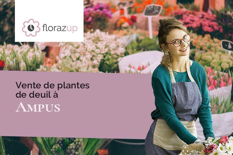 compositions florales pour des obsèques à Ampus (Var/83111)