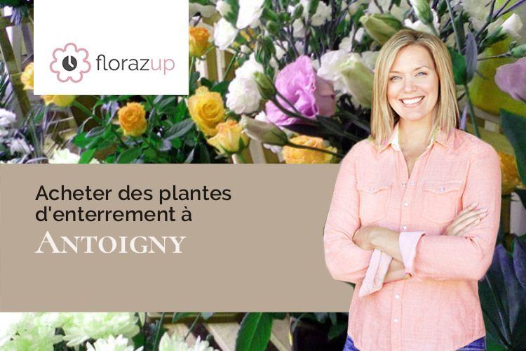 coeurs de fleurs pour une crémation à Antoigny (Orne/61410)