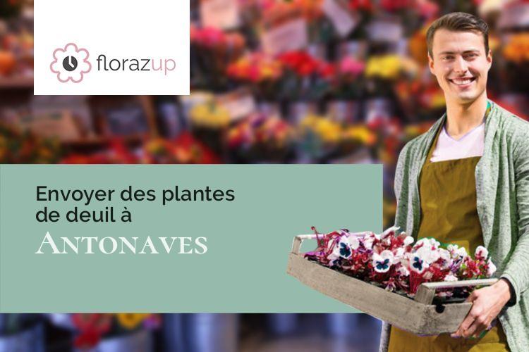 compositions florales pour des funérailles à Antonaves (Hautes-Alpes/05300)