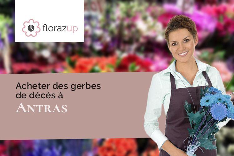 plantes pour des funérailles à Antras (Gers/32360)