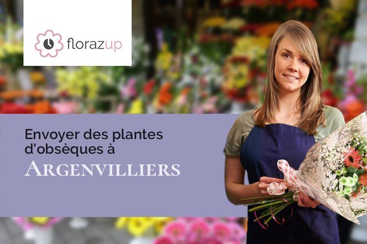 plantes pour des funérailles à Argenvilliers (Eure-et-Loir/28420)