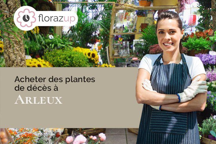 compositions florales pour un décès à Arleux (Nord/59151)