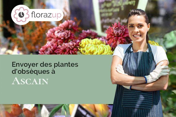 plantes pour un décès à Ascain (Pyrénées-Atlantiques/64310)