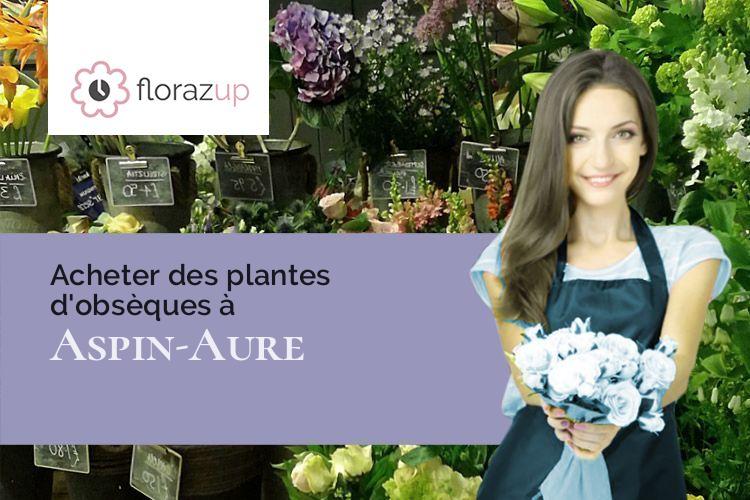 gerbes de fleurs pour des obsèques à Aspin-Aure (Hautes-Pyrénées/65240)