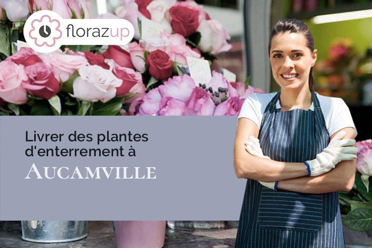 coupes de fleurs pour un décès à Aucamville (Tarn-et-Garonne/82600)