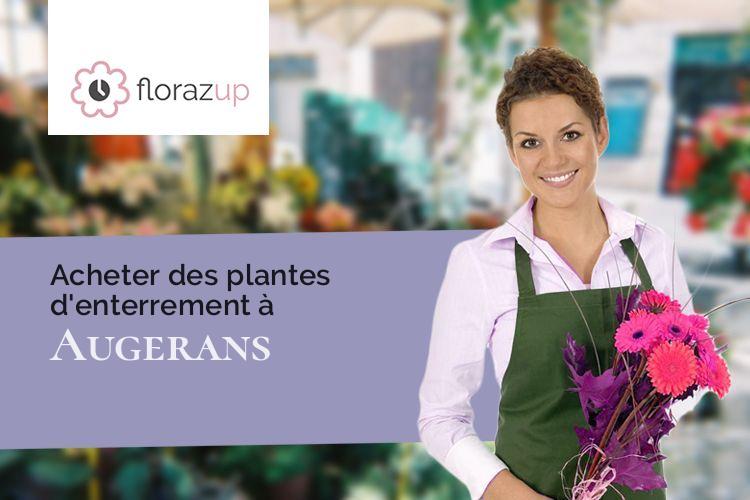 compositions de fleurs pour un deuil à Augerans (Jura/39380)