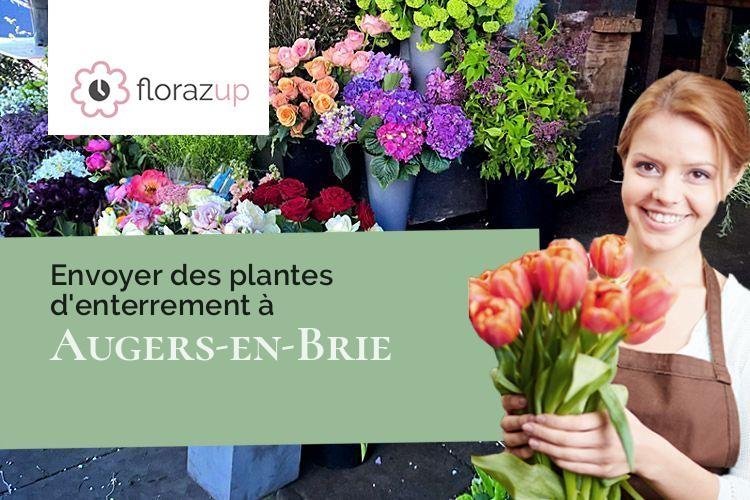 plantes pour des funérailles à Augers-en-Brie (Seine-et-Marne/77560)