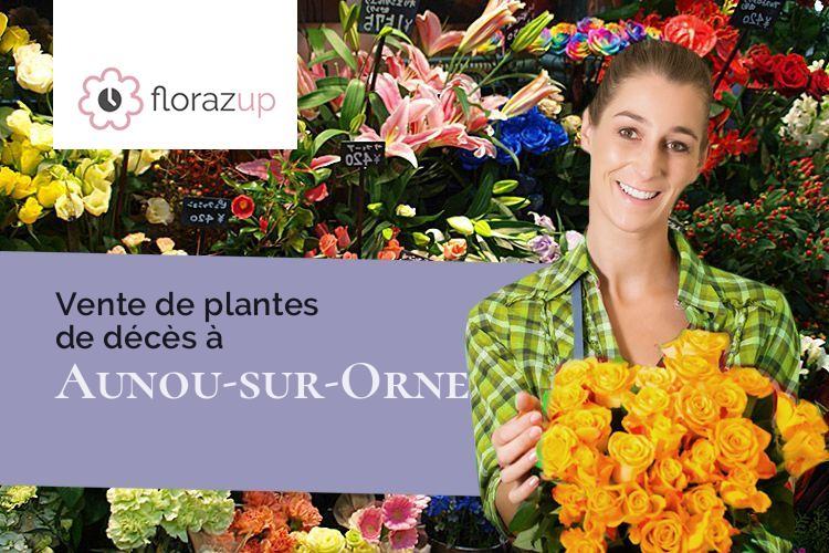 coeurs de fleurs pour une crémation à Aunou-sur-Orne (Orne/61500)