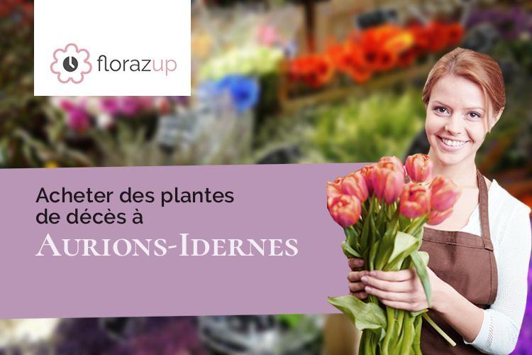 bouquets de fleurs pour un deuil à Aurions-Idernes (Pyrénées-Atlantiques/64350)