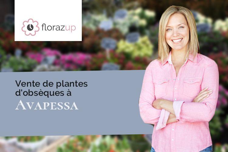 plantes pour un décès à Avapessa (Corse/20225)