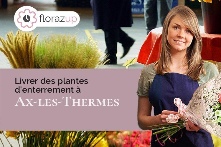 coupes de fleurs pour un deuil à Ax-les-Thermes (Ariège/09110)