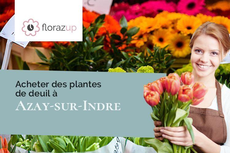 plantes pour une crémation à Azay-sur-Indre (Indre-et-Loire/37310)