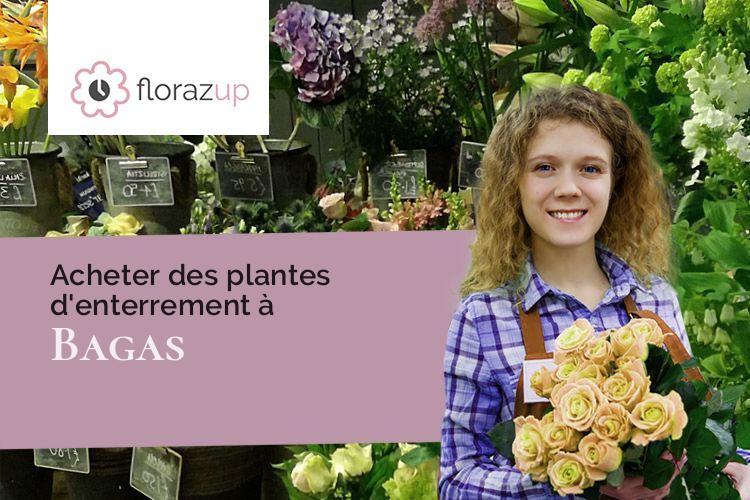 plantes pour des funérailles à Bagas (Gironde/33190)