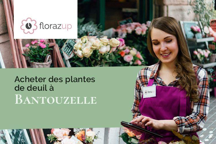 coeurs de fleurs pour des funérailles à Bantouzelle (Nord/59266)