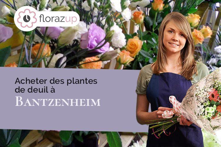 couronnes de fleurs pour un enterrement à Bantzenheim (Haut-Rhin/68490)