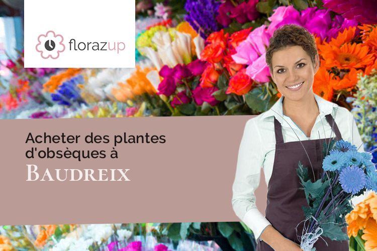 bouquets de fleurs pour un deuil à Baudreix (Pyrénées-Atlantiques/64800)