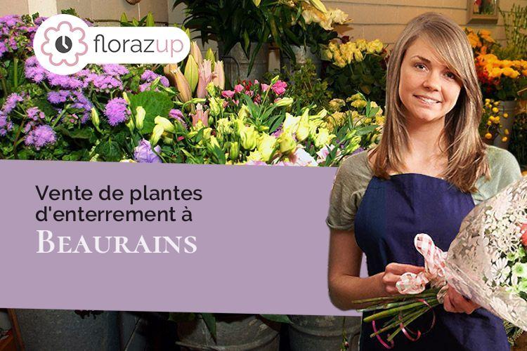 coeur de fleurs pour un enterrement à Beaurains (Pas-de-Calais/62217)