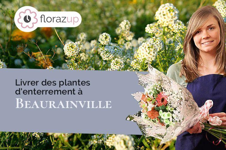 plantes pour une crémation à Beaurainville (Pas-de-Calais/62990)