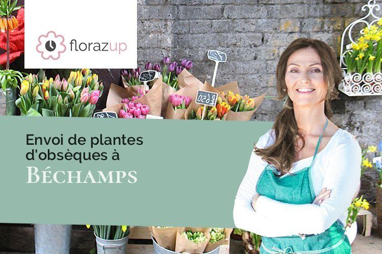 couronnes florales pour un décès à Béchamps (Meurthe-et-Moselle/54800)