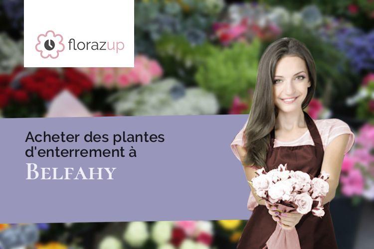 coeurs de fleurs pour un enterrement à Belfahy (Haute-Saône/70290)