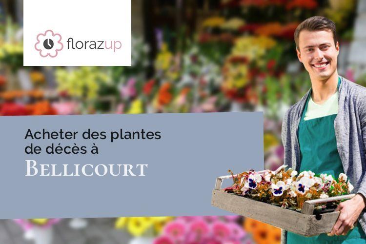 couronnes de fleurs pour des funérailles à Bellicourt (Aisne/02420)