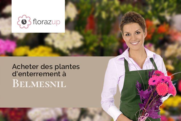 coeurs de fleurs pour un décès à Belmesnil (Seine-Maritime/76590)