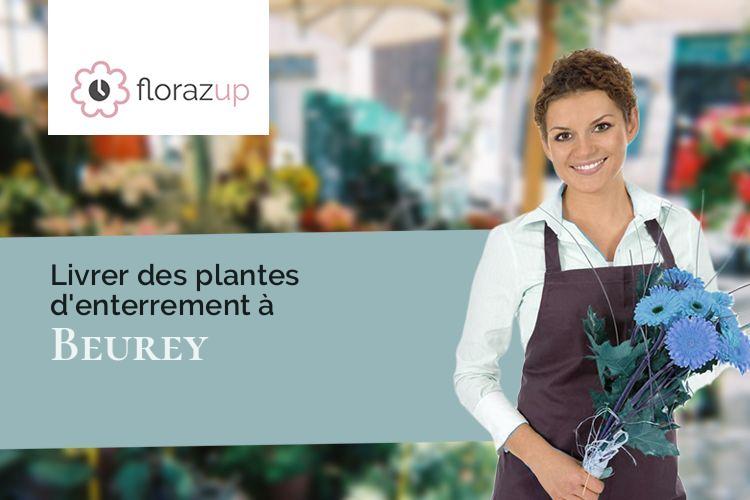 plantes pour un décès à Beurey (Aube/10140)