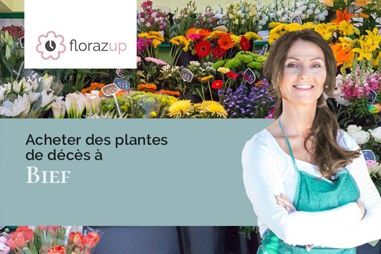 créations de fleurs pour un décès à Bief (Doubs/25190)