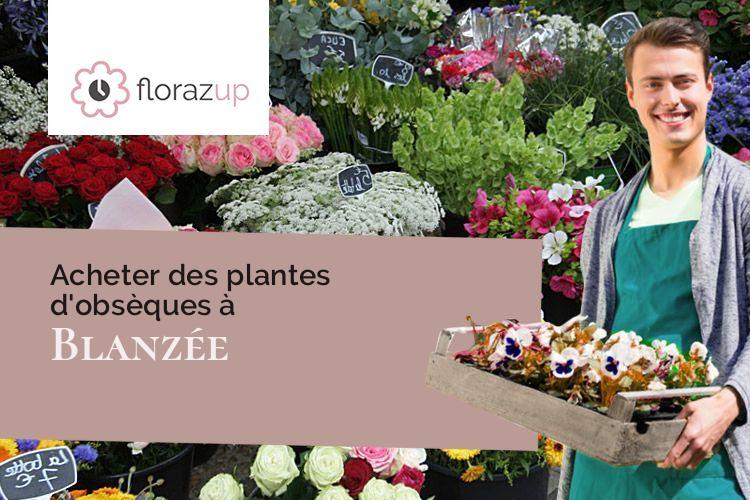 créations florales pour un décès à Blanzée (Meuse/55400)