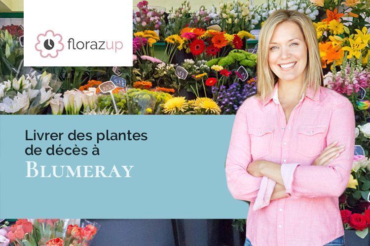 coeurs de fleurs pour un enterrement à Blumeray (Haute-Marne/52110)