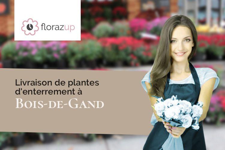 compositions florales pour des obsèques à Bois-de-Gand (Jura/39230)