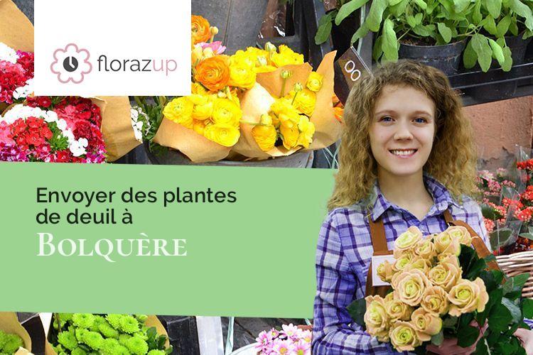 coeurs de fleurs pour une crémation à Bolquère (Pyrénées-Orientales/66210)