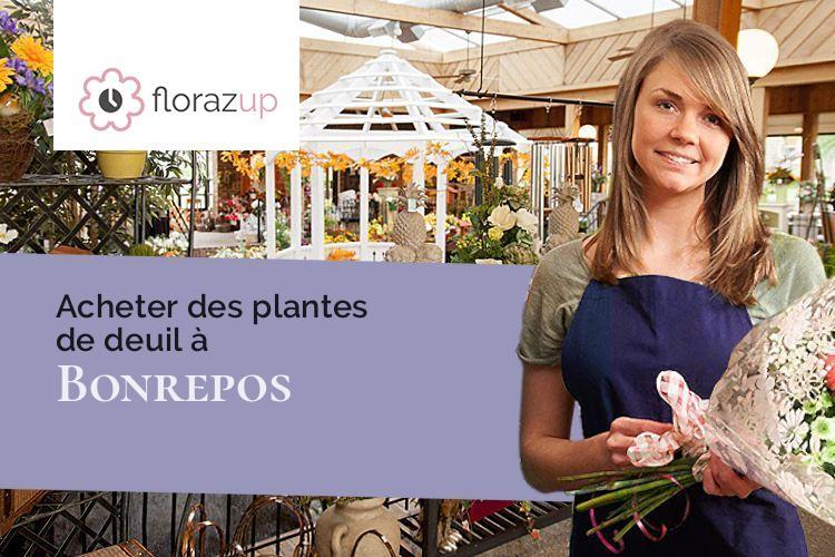 bouquets de fleurs pour un décès à Bonrepos (Hautes-Pyrénées/65330)