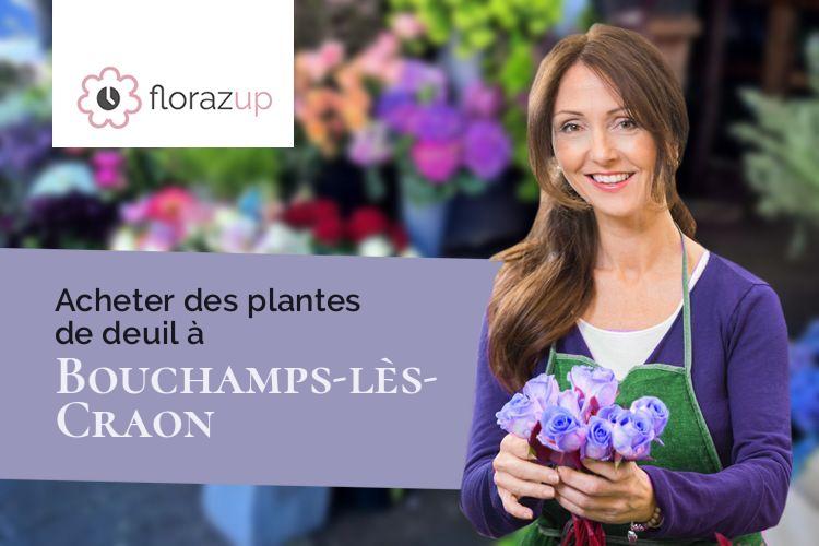 bouquets de fleurs pour un décès à Bouchamps-lès-Craon (Mayenne/53800)