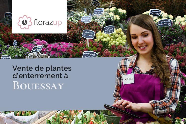 plantes pour un deuil à Bouessay (Mayenne/53290)
