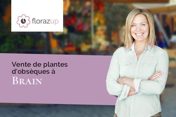 couronnes florales pour une crémation à Brain (Côte-d'Or/21350)