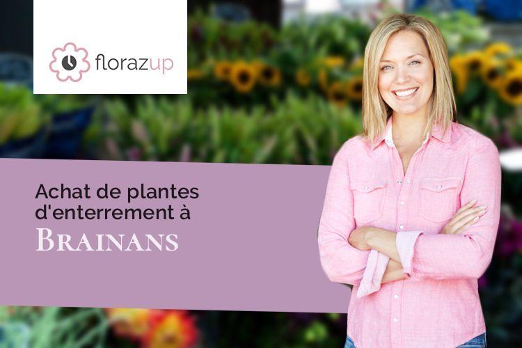 plantes pour un décès à Brainans (Jura/39800)