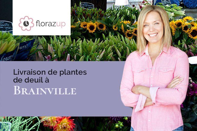 plantes pour un décès à Brainville (Meurthe-et-Moselle/54800)